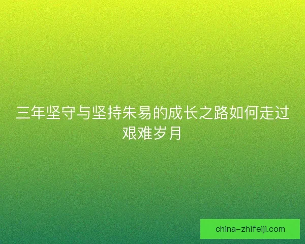 三年坚守与坚持朱易的成长之路如何走过艰难岁月