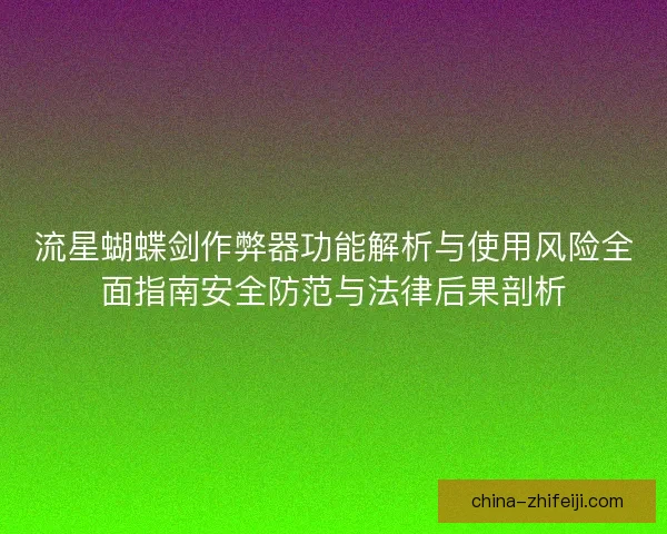 流星蝴蝶剑作弊器功能解析与使用风险全面指南安全防范与法律后果剖析